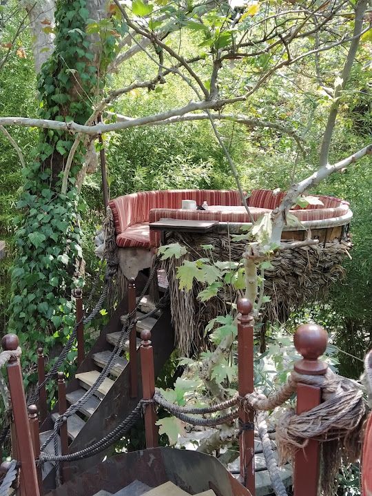 Fotoğraf 60
