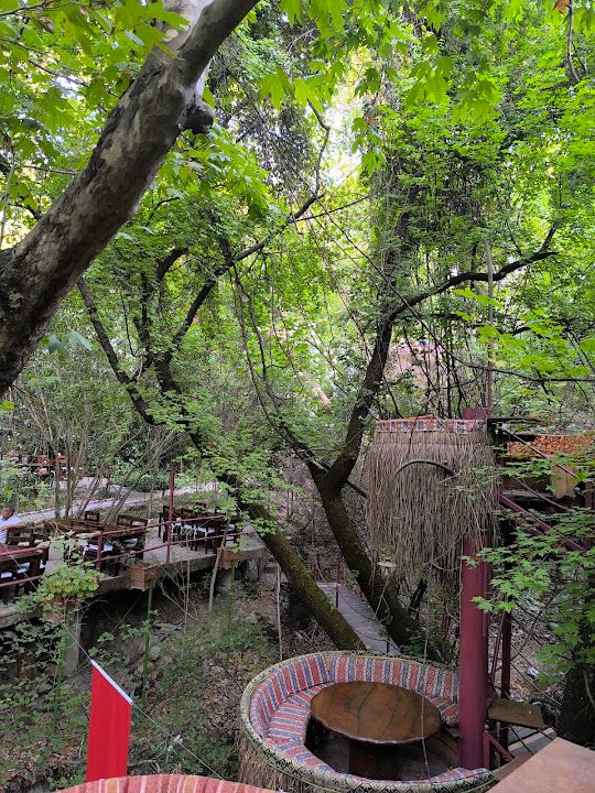 Yorum fotoğrafı 4
