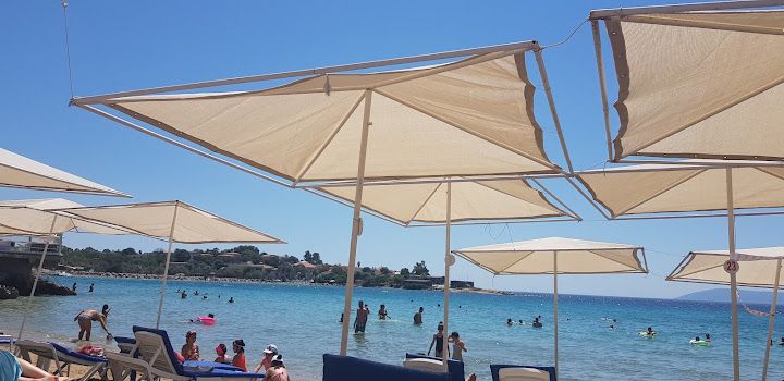 Fotoğraf 55