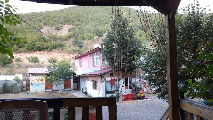 Fotoğraf 2