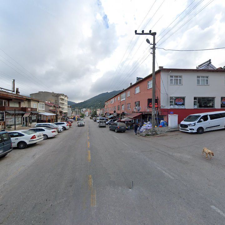 Fotoğraf 5