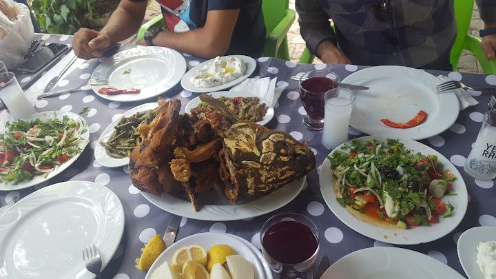 Fotoğraf 33