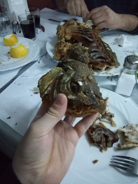 Fotoğraf 32