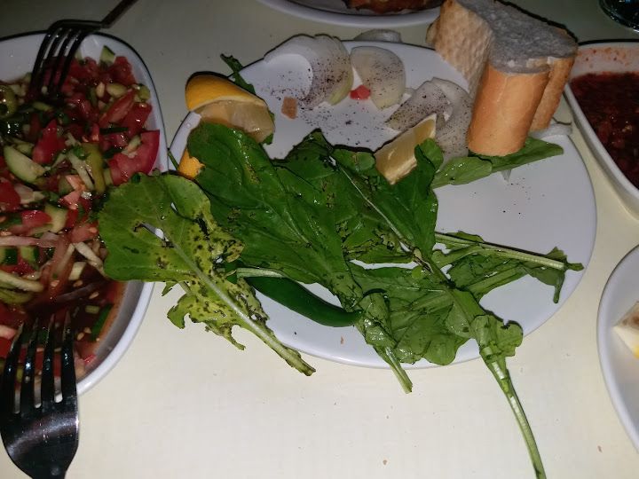 Fotoğraf 33