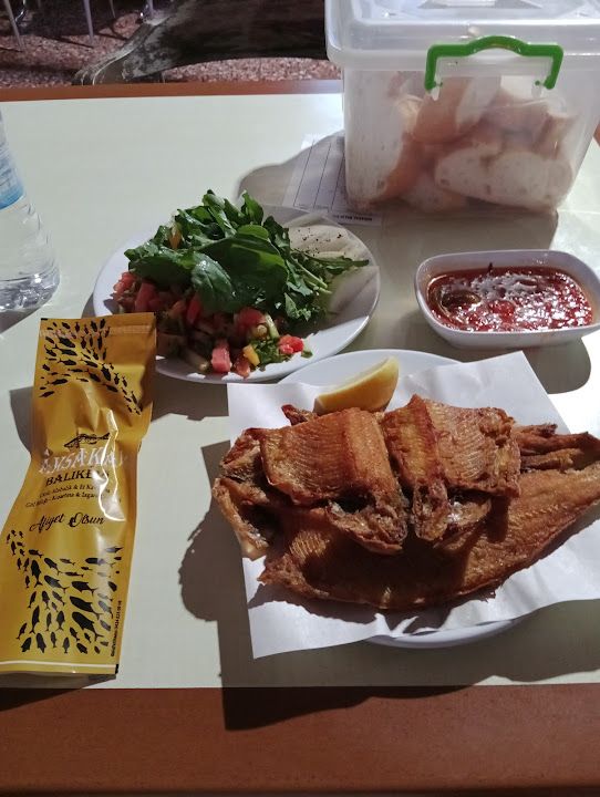 Fotoğraf 31