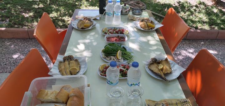 Fotoğraf 28