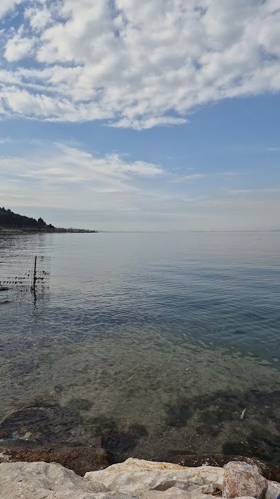 Fotoğraf 28