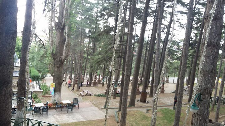 Yorum fotoğrafı 4