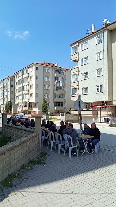 Fotoğraf 3