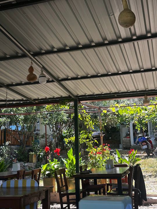 Fotoğraf 31