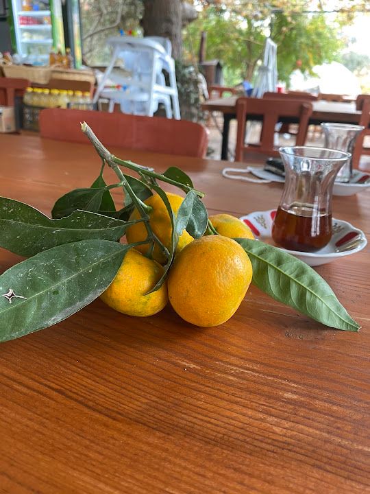 Fotoğraf 35