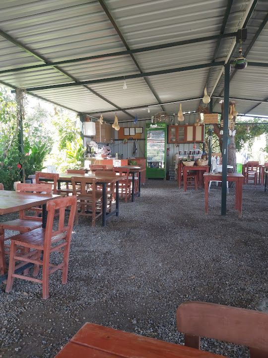 Fotoğraf 15