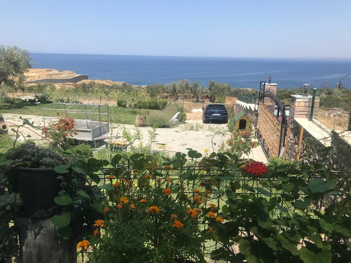 Fotoğraf 19