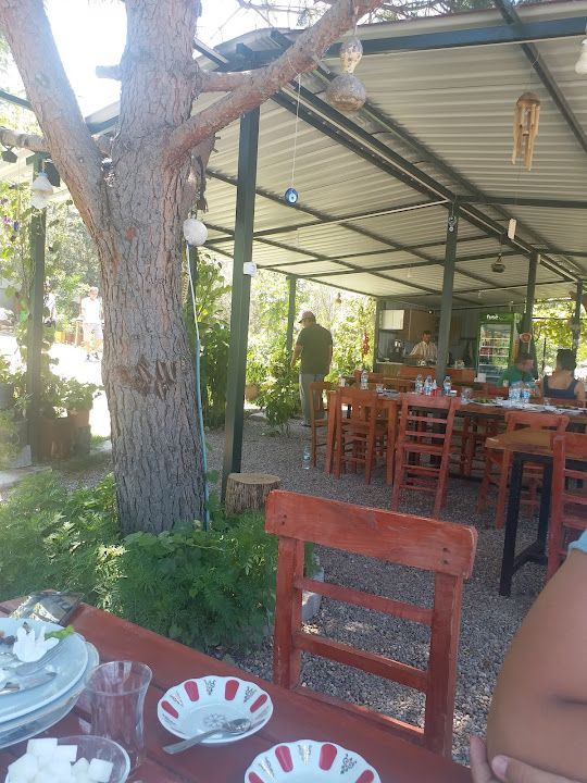 Fotoğraf 12