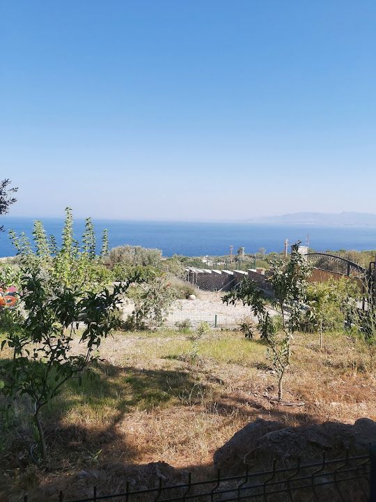 Fotoğraf 17