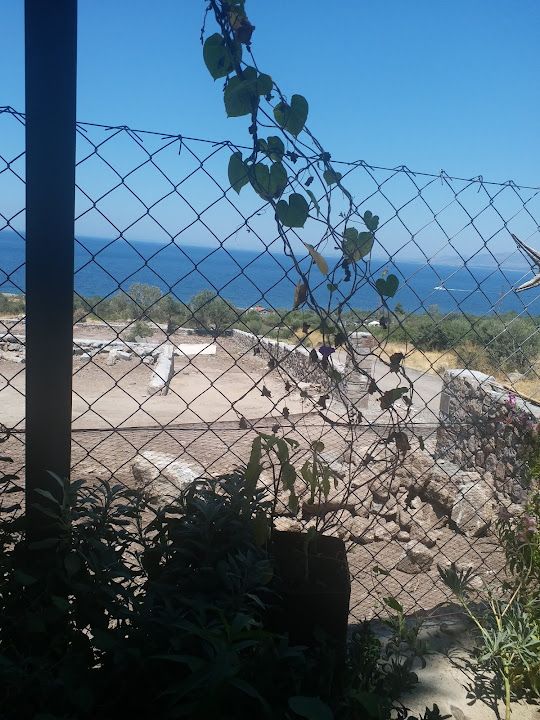 Fotoğraf 14