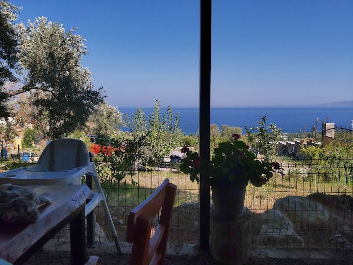 Fotoğraf 16