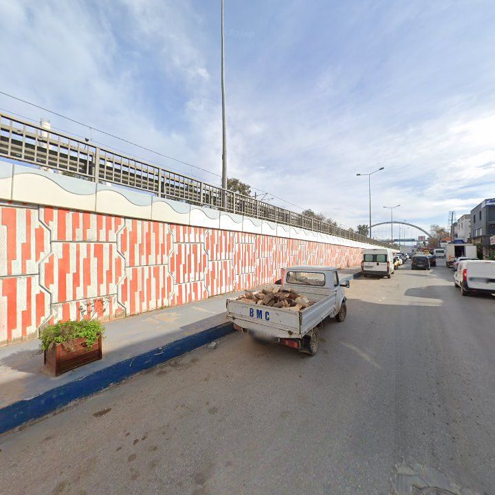 Fotoğraf 11