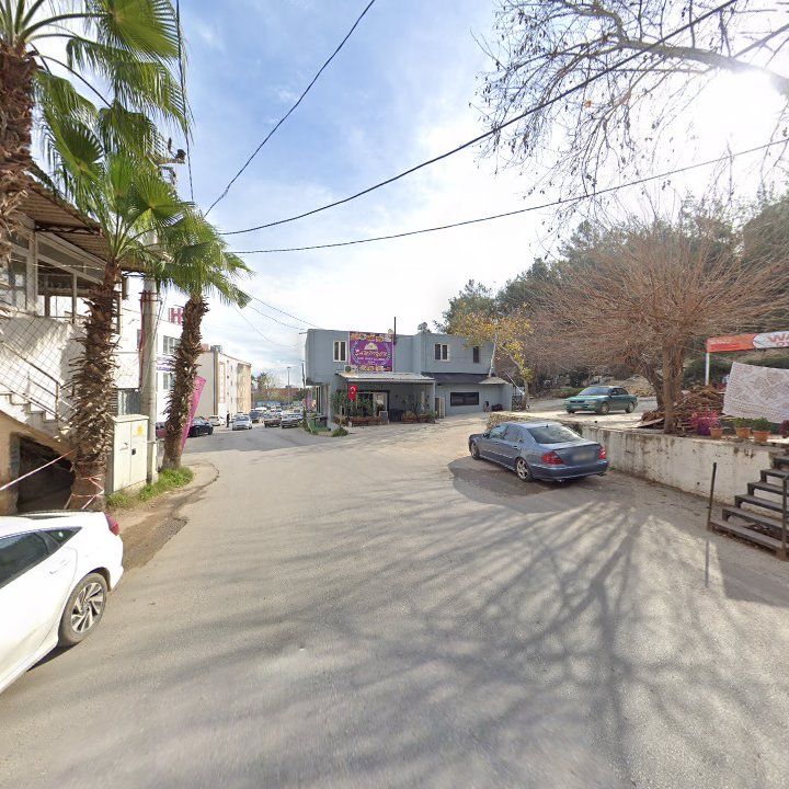 Fotoğraf 6