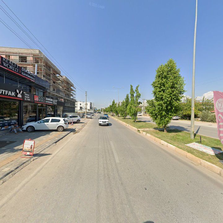 Fotoğraf 12