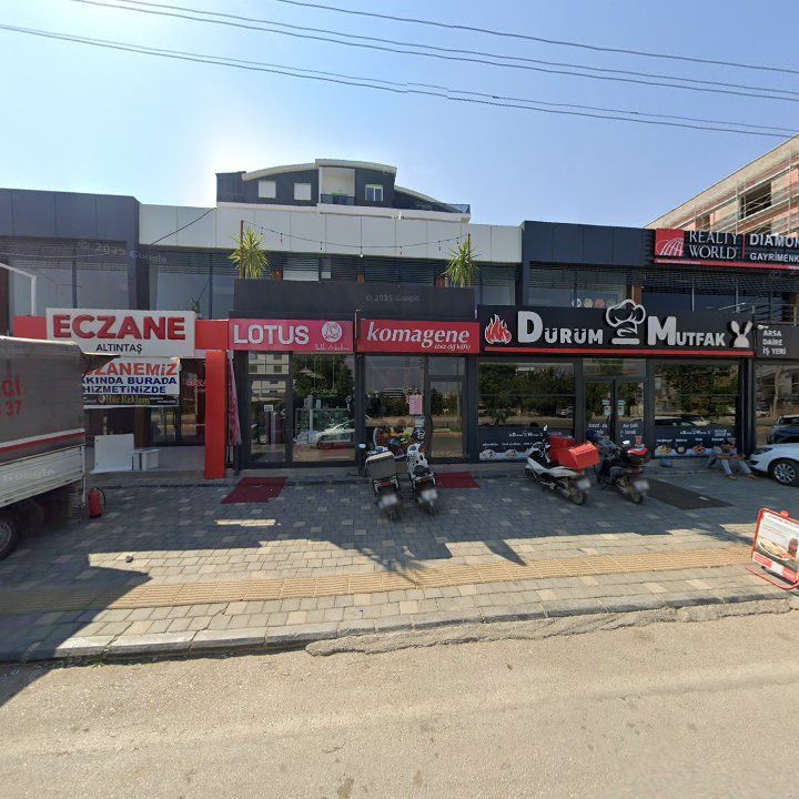 Fotoğraf 11