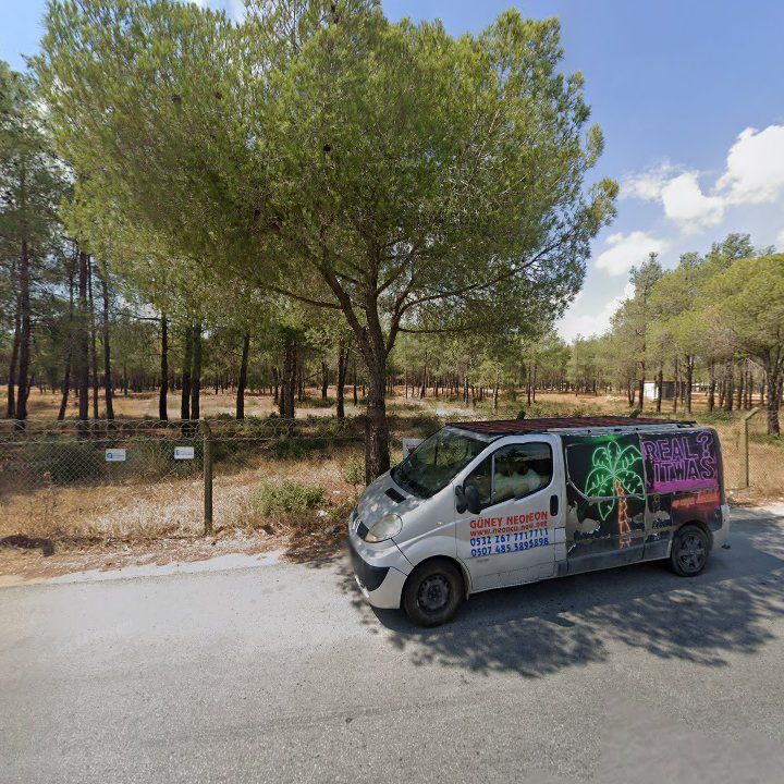 Fotoğraf 7