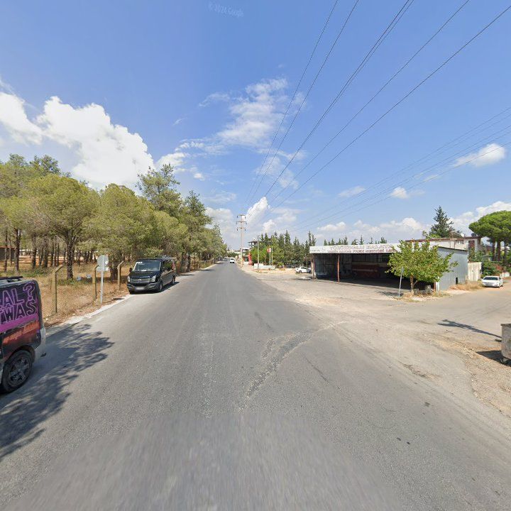 Fotoğraf 8