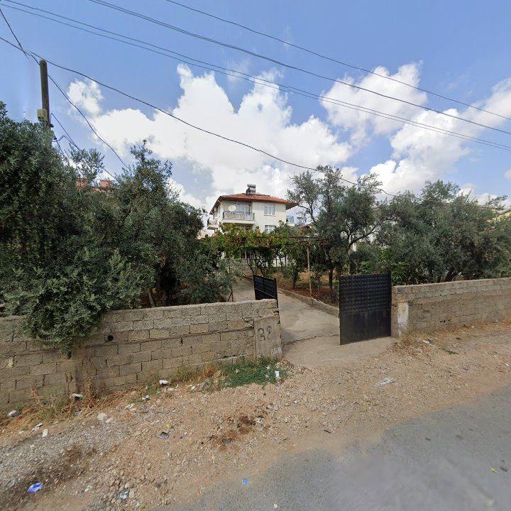 Fotoğraf 3