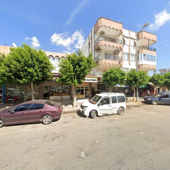 Fotoğraf 8
