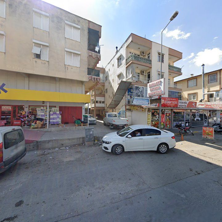 Fotoğraf 10