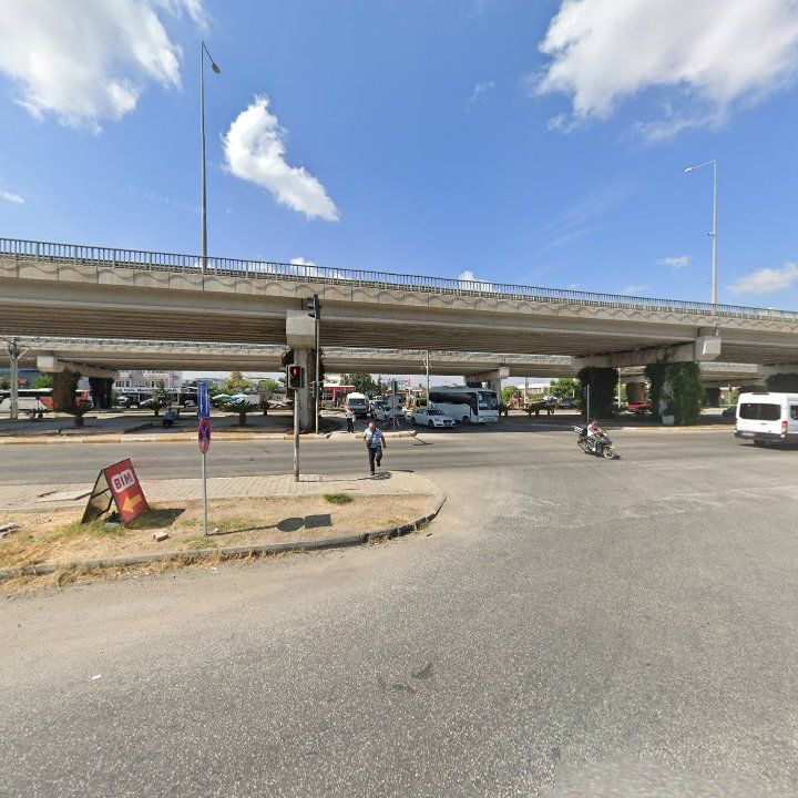 Fotoğraf 12