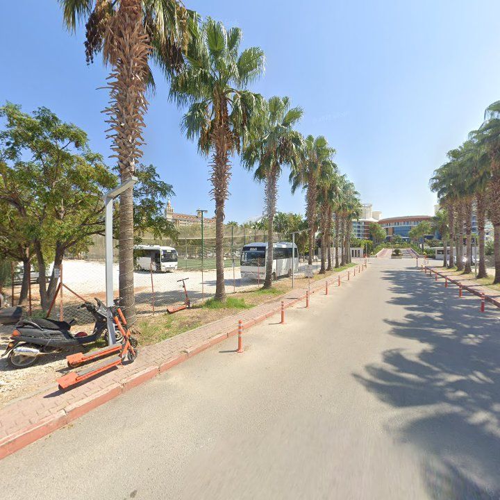 Fotoğraf 8