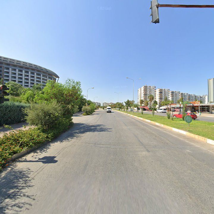 Fotoğraf 11