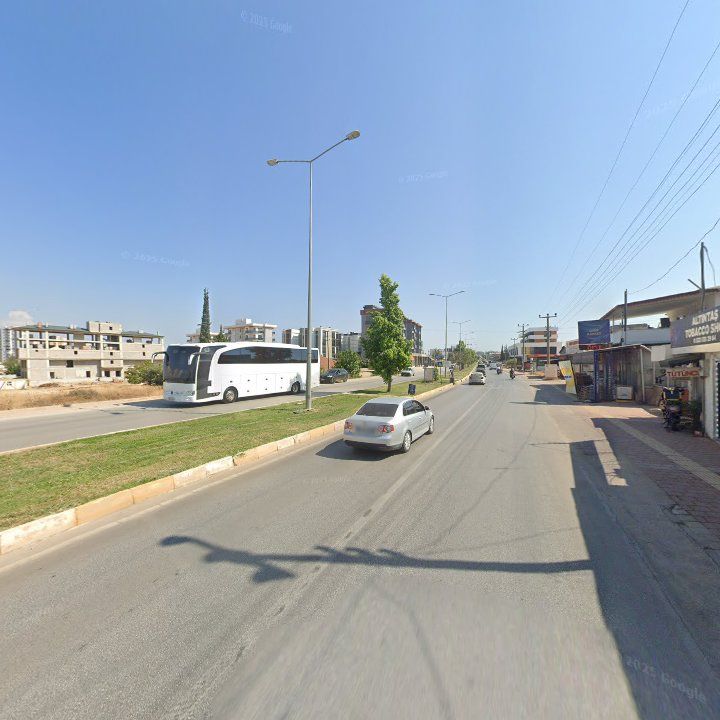 Fotoğraf 11