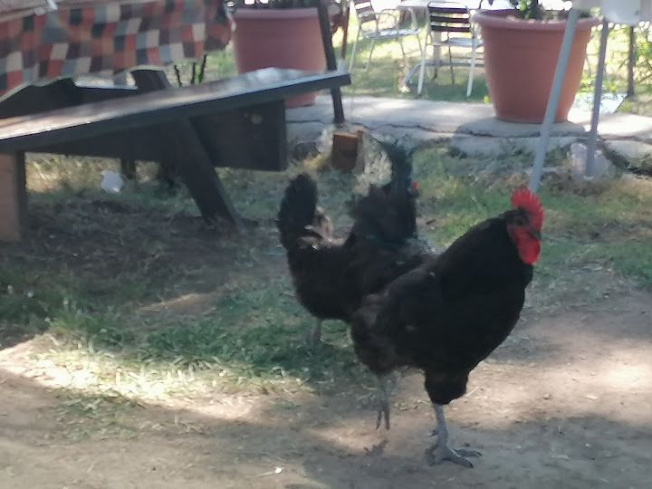 Fotoğraf 22