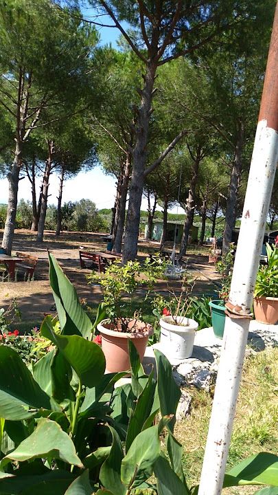 Fotoğraf 18