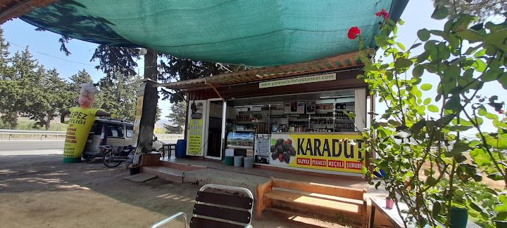 Fotoğraf 16