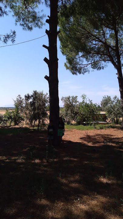 Fotoğraf 25