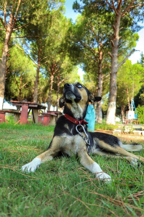 Fotoğraf 20