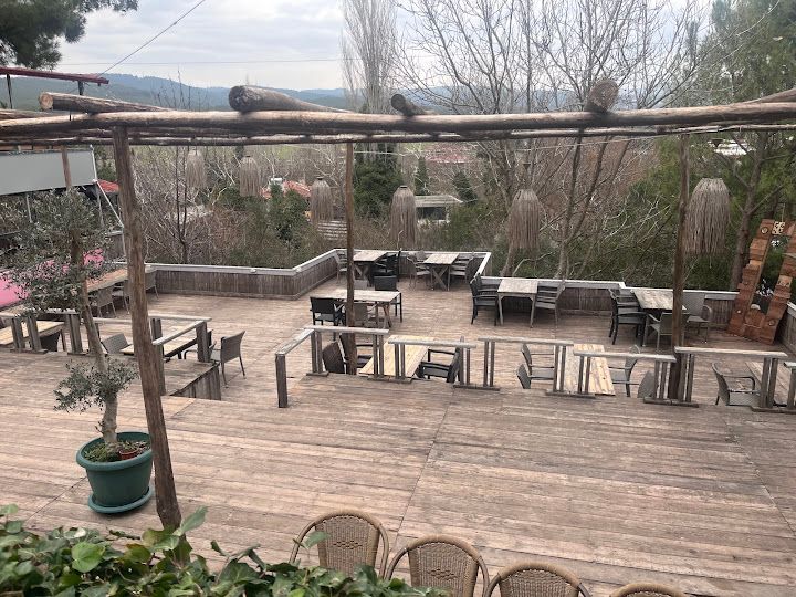 Fotoğraf 67
