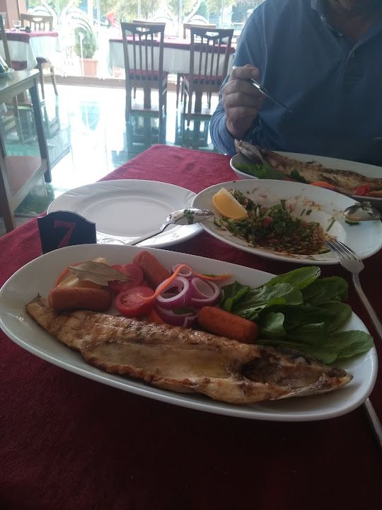 Fotoğraf 30