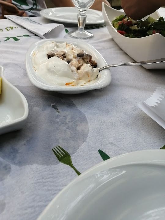 Fotoğraf 32