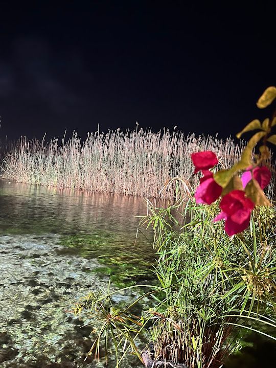 Fotoğraf 34