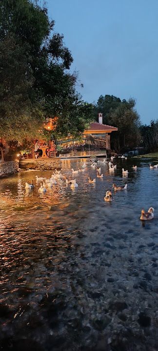 Yorum fotoğrafı 4