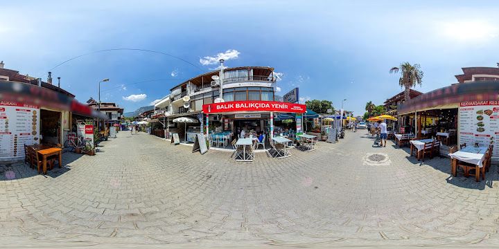 Fotoğraf 41
