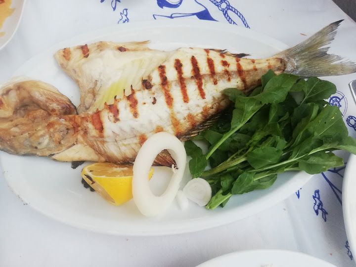 Fotoğraf 45
