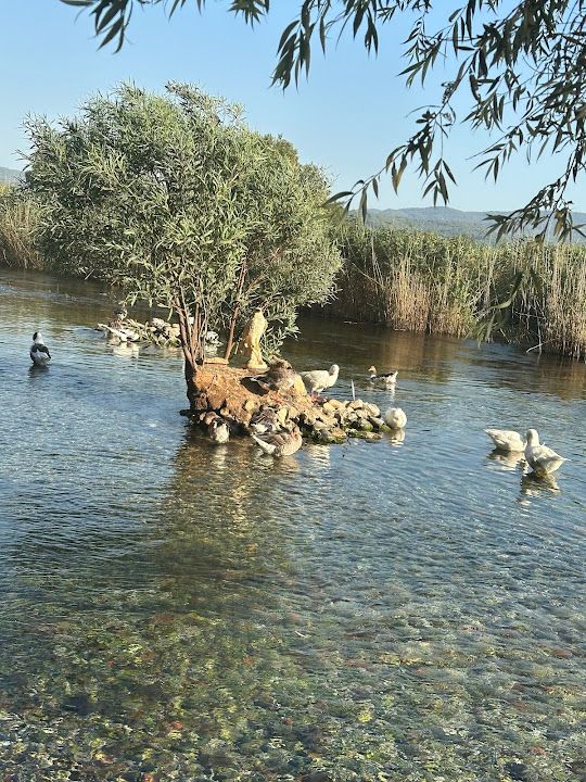 Fotoğraf 51
