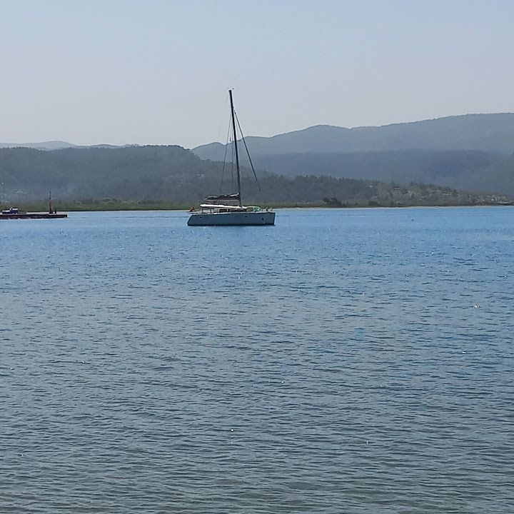 Fotoğraf 30