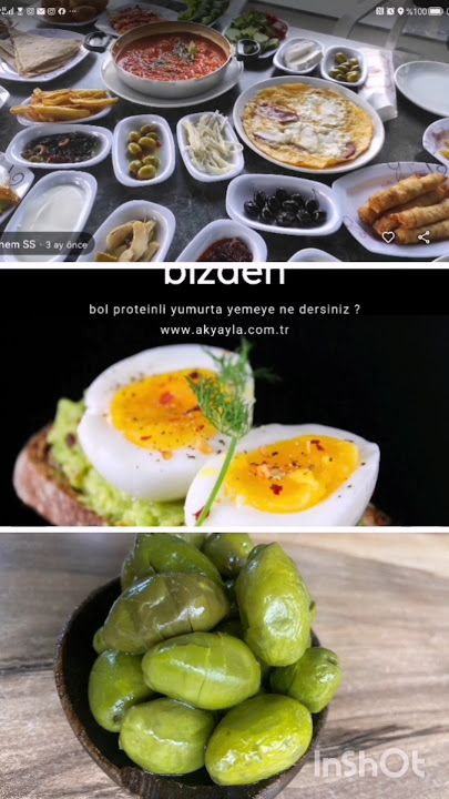 Fotoğraf 42