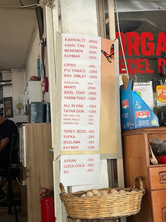 Fotoğraf 45